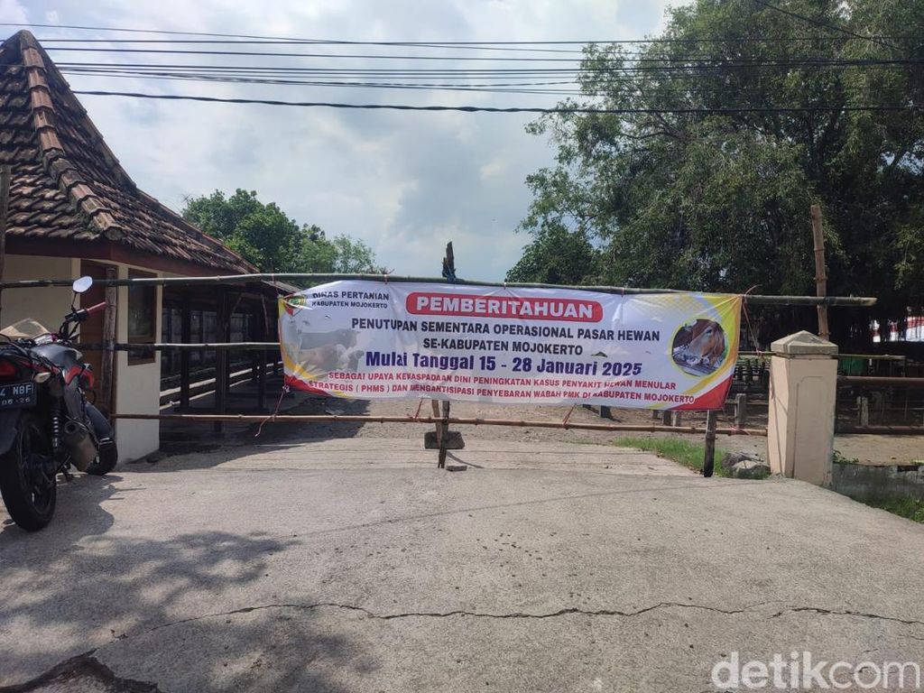 Cegah Penyebaran PMK, 7 Pasar Hewan di Mojokerto Ditutup 13 Hari